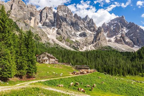 Malga alpina con pascoli verdi e montagne sullo sfondo