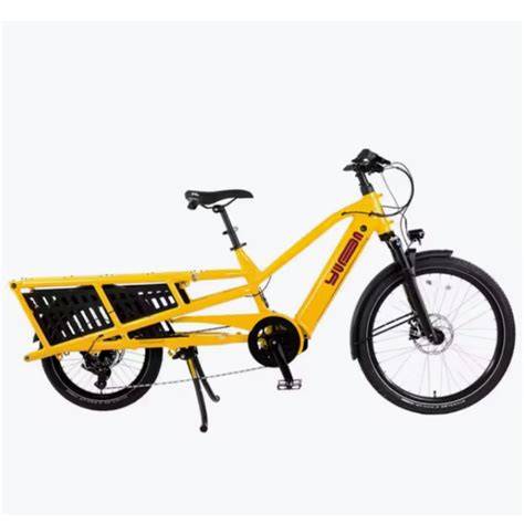 grafico confronti cargo bike modelli
