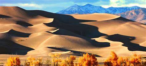 gabbia di sabbia e dune storiche