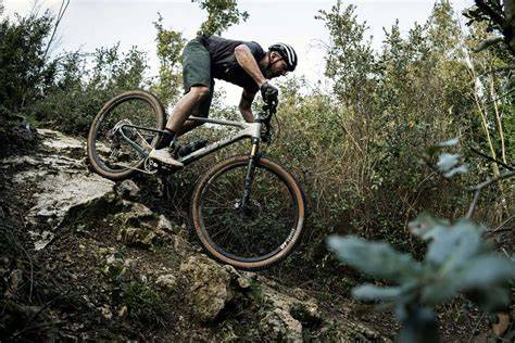 immagine bici xc su trail