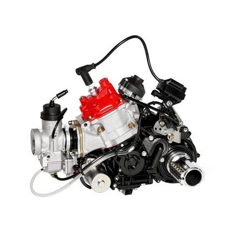 schema di integrazione Motore Rotax in moto