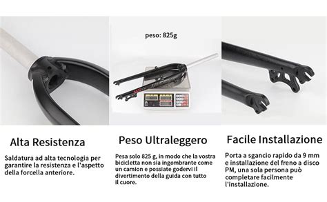Dettaglio della forcella anteriore e del freno a disco