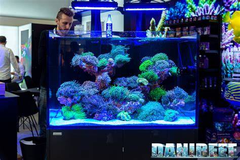schema layout parti e dimensioni acquario
