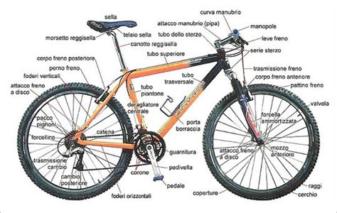 schema componenti bicicletta economica