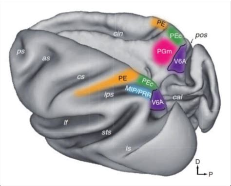 Schema di un telaio di moto con evidenziate le aree critiche
