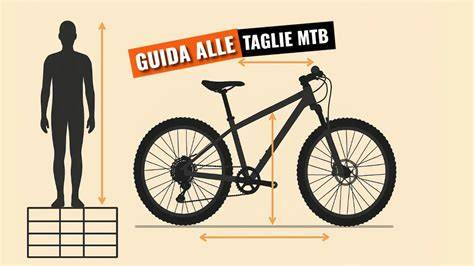 Immagine confronto taglie e ruote MTB