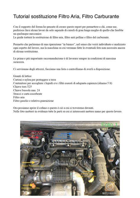 grafico passo-passo del cambio filtro carburante