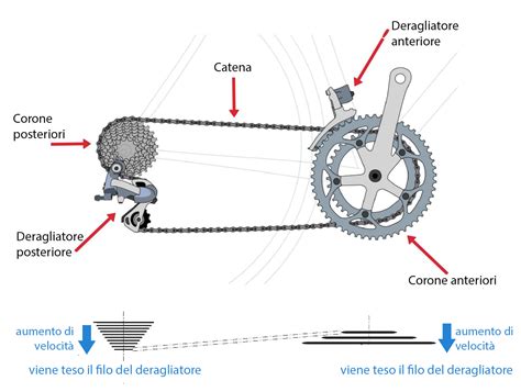 Dettaglio di guaine e fili del cambio di una bicicletta da corsa