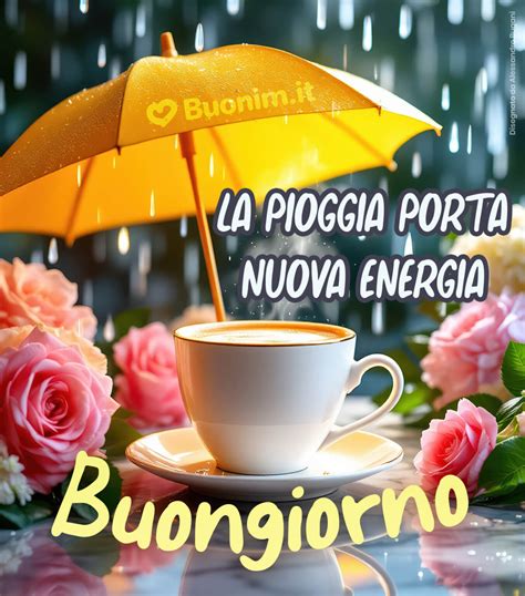 Circuito di motocross sotto la pioggia
