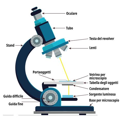 Microscopio che mostra la struttura del tessuto del filtro