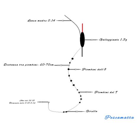 schema pesca spinning offshore