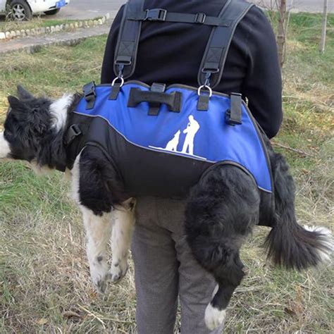 Trasportino per cani su monopattino