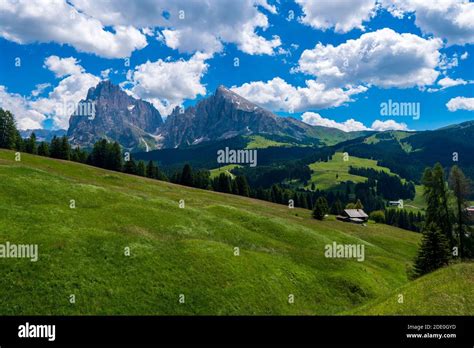 Vista panoramica dell'Alpe di Siusi con lo Sciliar in lontananza