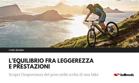 grafico stile e leggerezza biciclette sportive