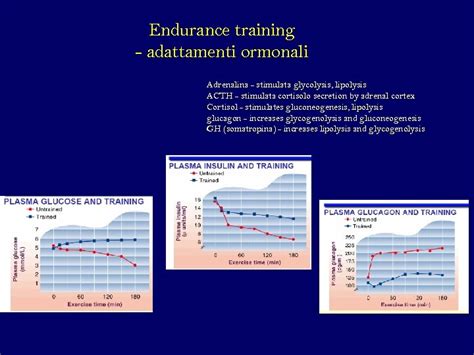 grafico adattamenti cardiaci allenamento endurance