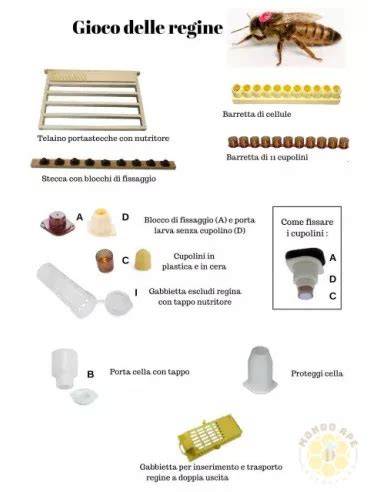 cupolini in plastica per api regine