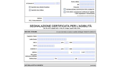 grafico flusso certificato agibilità spettacolo