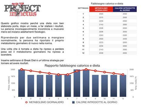 grafico fabbisogno calorico ciclista media ora