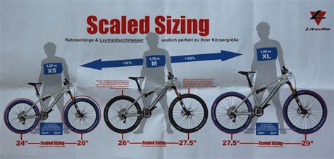 Schema della geometria della bici 29 pollici