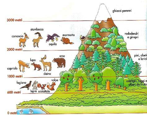 mappa interventi sicurezza fauna montagna