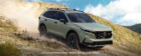 immagine panoramica gamma Honda SUV