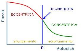 grafico dinamiche curva moto e forze