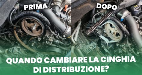 cinghia-trasmissione-270J-infografica