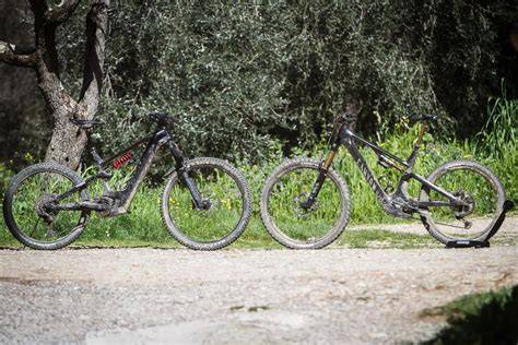 Grafico confronto motori e batterie e-bike
