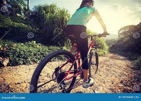 Donna che guida una Torpado ARES su un sentiero