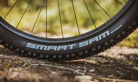 Copertoni MTB versatile Schwalbe Smart Sam