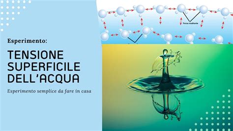 (energia superficiale e adesione spiegazioni visive)