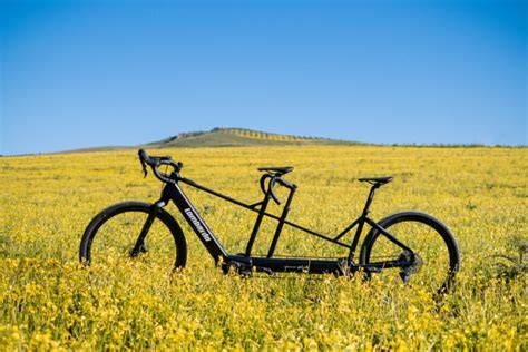 Immagine tecnica dettagli Lagonegro Duo