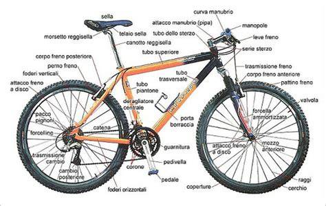 schema componenti bicicletta mountain bike