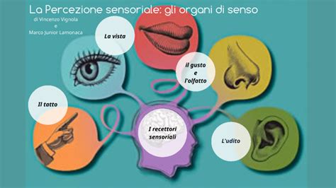 imbuto rotore leggero effetto percezione sensoriale