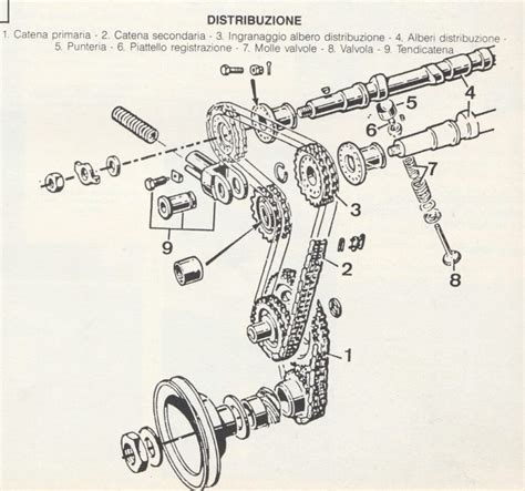 catena di distribuzione ingranaggi tendicatena