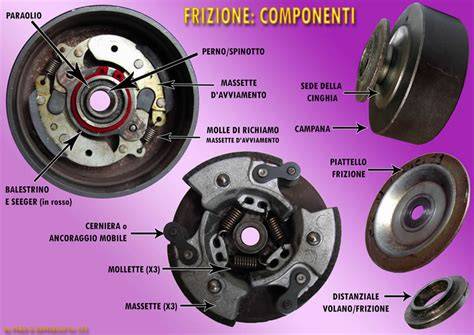 grafico taratura frizione e variatore