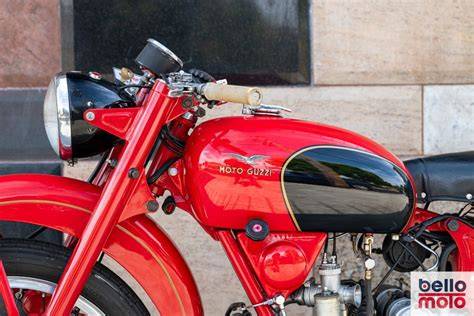 coppia compassi Moto Guzzi 250 foto dettagliate