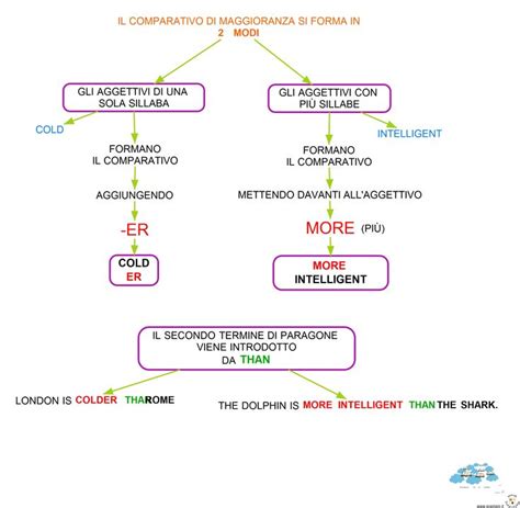 Schema comparativo delle caratteristiche principali di moto scrambler e adventure