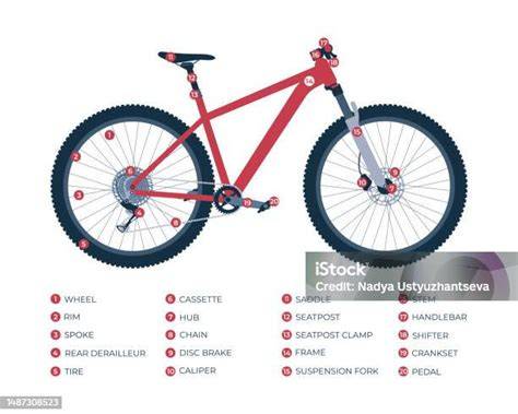 Infografica: componenti di una e-bike e relativi limiti