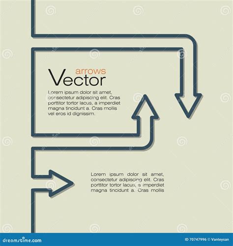 Illustrazione di una pit bike con frecce che indicano i punti di controllo della catena e dei serraggi