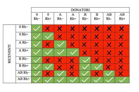 grafico-compatibilita-serrature-givi