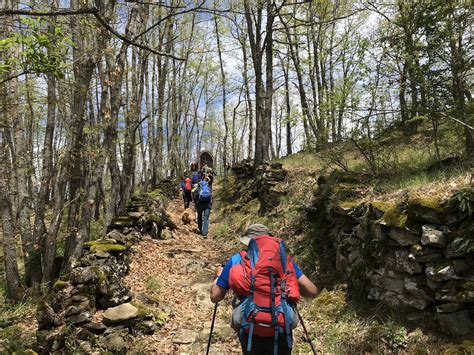 Sentiero di montagna affollato di escursionisti e ciclisti