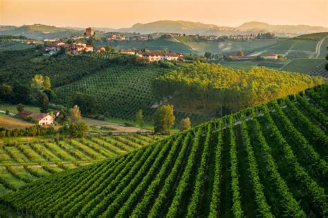 Paesaggio collinare del Monferrato con vigneti