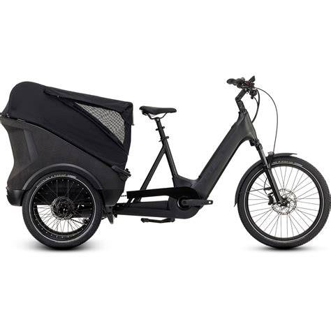 bici-elettrica-cargo-esemplare