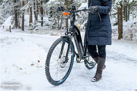 schema scelta pneumatici invernali ebike