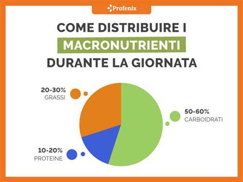 grafico distribuzione energia carboidrati e grassi durante l'allenamento