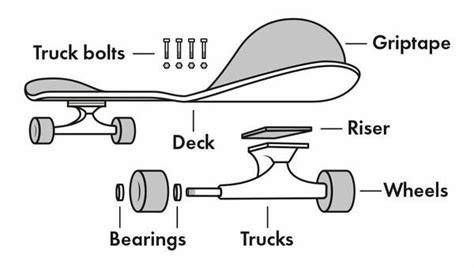 schema componenti skateboard