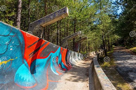 Mini-Ramp in un bosco con graffiti