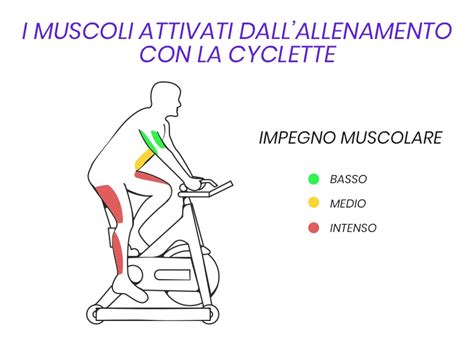 diagramma che mostra i muscoli delle gambe coinvolti nell'uso della cyclette