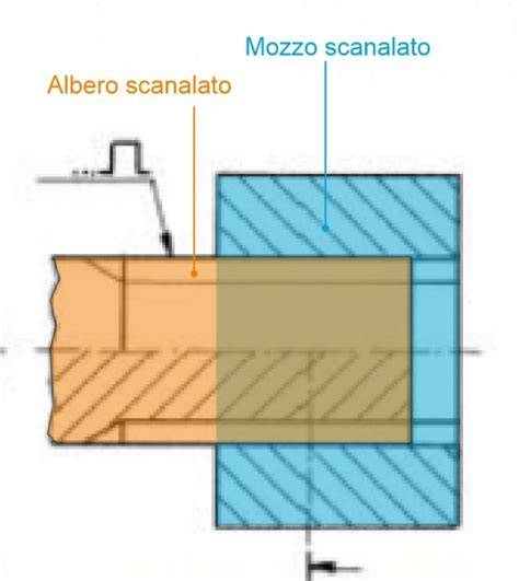 Immagine: rappresentazione profilo albero campana e flusso